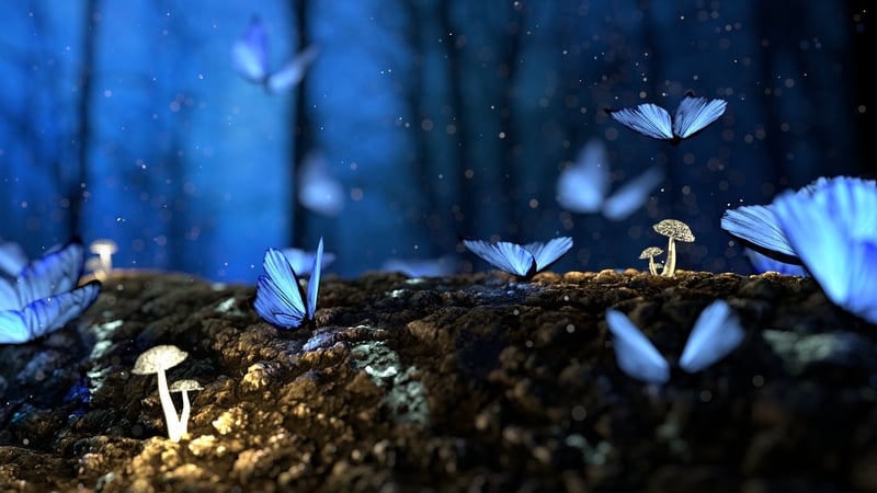 Magical Forest Accents